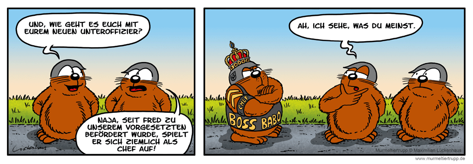 Murmeltiertrupp Comicstrip - Chefsache