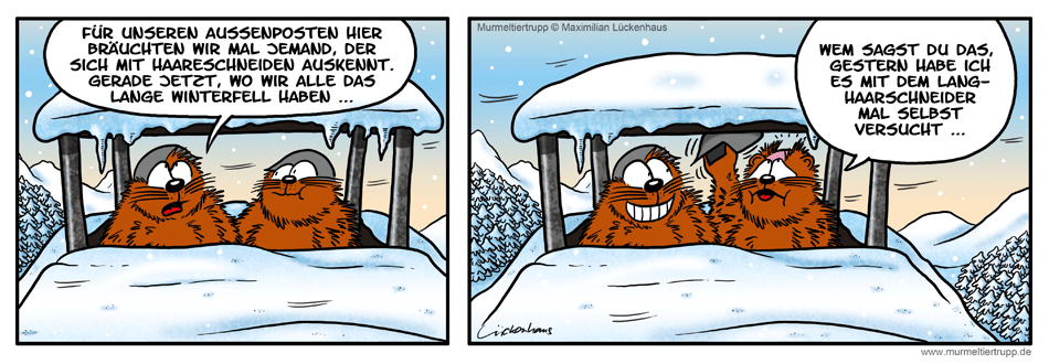 Murmeltiertrupp Comicstrip - Haarig