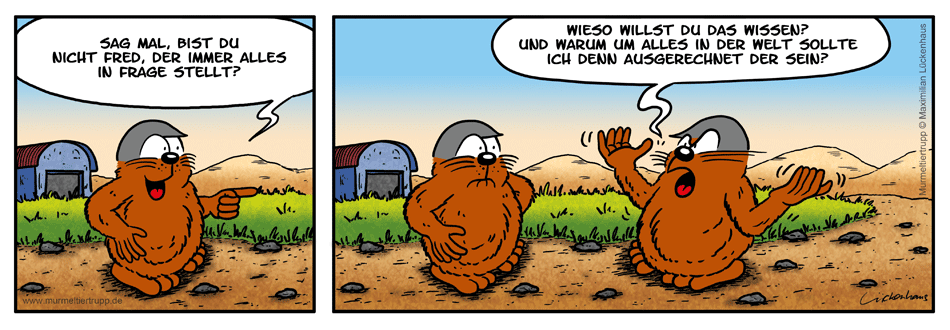 Murmeltiertrupp Comicstrip - Hinterfragen