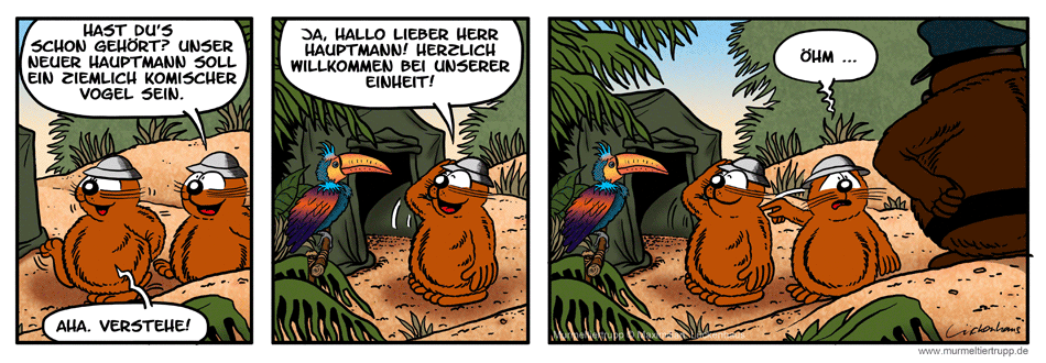 Murmeltiertrupp Comicstrip - komischer Vogel