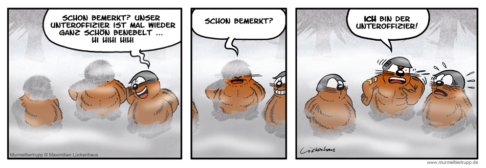 Murmeltiertrupp Comicstrip - Nebulös