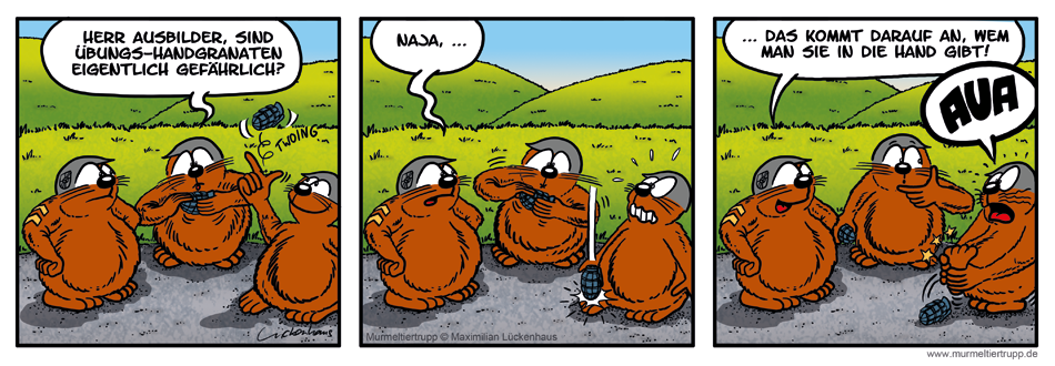 Murmeltiertrupp Comicstrip - Übungsfall