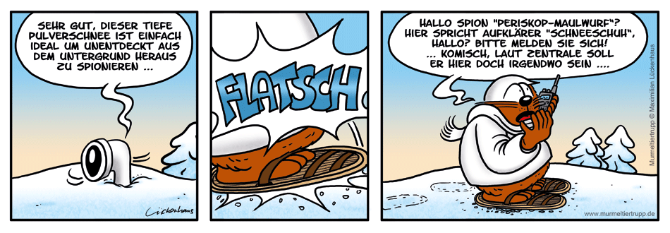Murmeltiertrupp Comicstrip - Untergrund