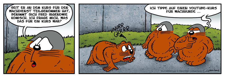 Murmeltiertrupp Comicstrip - Wachkurs