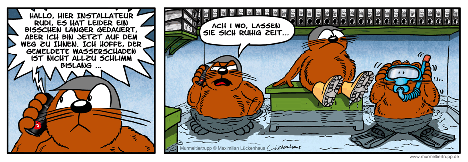 Murmeltiertrupp Comicstrip - Wasserschaden